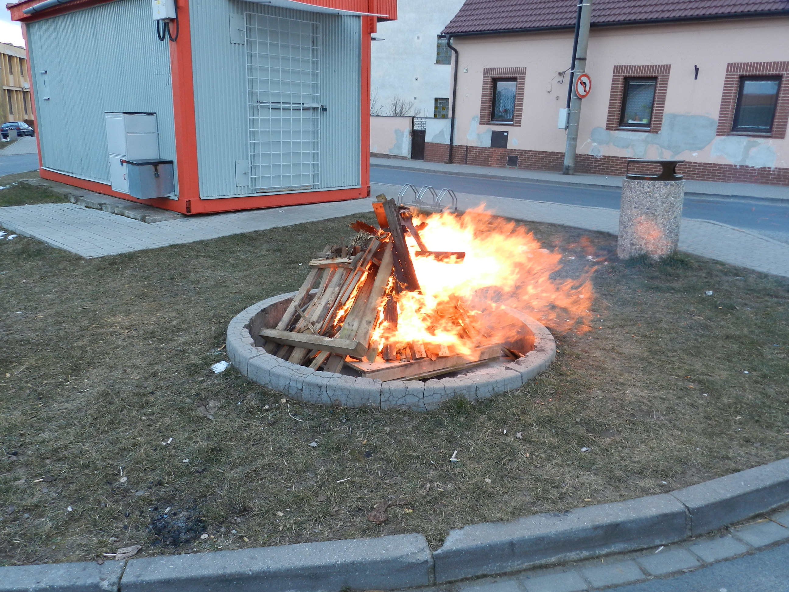 DSCN8015